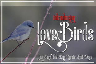 Designing Elegant Brands with LoveBirds Display Fonts